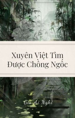 Xuyên Việt Tìm Được Chồng Ngốc 