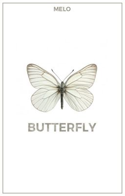 [YoonKook] Butterfly