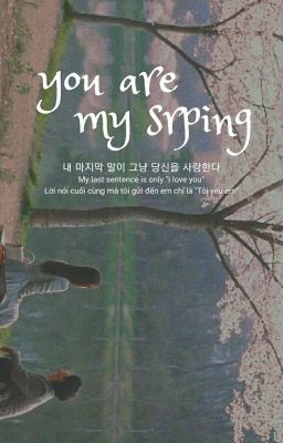 You Are My Spring | Jimin