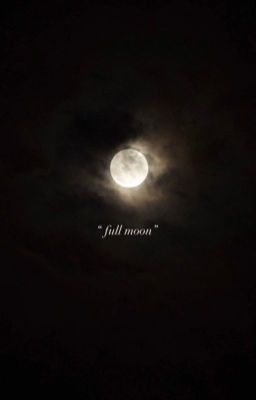 zb1 & boys planet ✧ full moon.