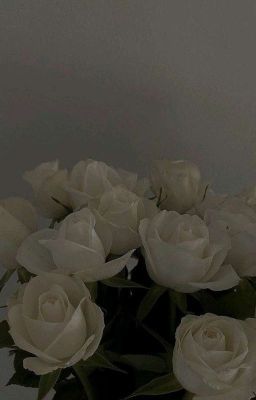 𝐆𝐲𝐮𝐣𝐢𝐧  White Rose